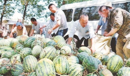 长垣县今日吃瓜爆料,吃瓜爆料，揭秘幕后真相