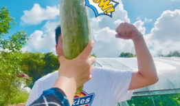 网红爆料吃瓜高清极品,揭秘吃瓜界的高清极品瞬间