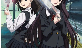 日本动漫肉片,日本动漫肉片大揭秘